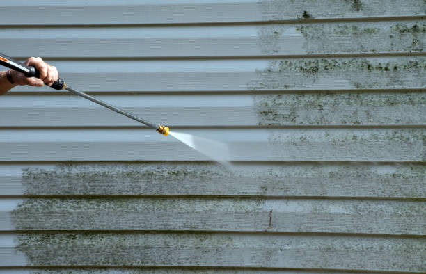 Best Commercial Building Pressure Washing  in Oracle, AZ