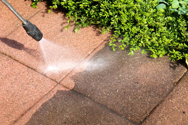 Why Choose Our Certified Pressure Washing Experts for Your Project Needs in Oracle, AZ?